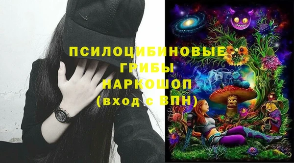 прущий лед Аркадак