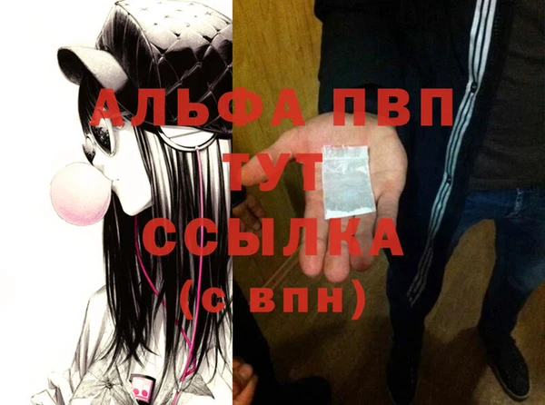 сатива Армянск